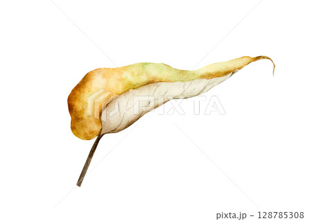 Watercolor leaf in warm autumn tones. Botanical hand drawn illustration isolated on background. Ideal for seasonal, halloween, forest, or nature-themed designs. Rustic foliage perfect for fall decor 128785308