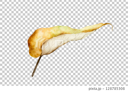 Watercolor leaf in warm autumn tones. Botanical hand drawn illustration isolated on background. Ideal for seasonal, halloween, forest, or nature-themed designs. Rustic foliage perfect for fall decor 128785308