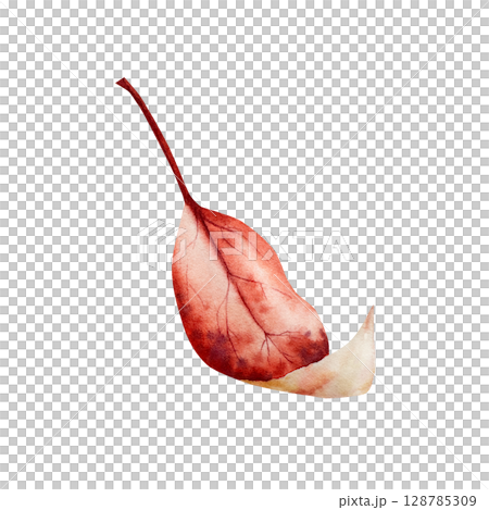 Watercolor leaf in warm autumn tones. Botanical hand drawn illustration isolated on background. Ideal for seasonal, halloween, forest, or nature-themed designs. Rustic foliage perfect for fall decor 128785309