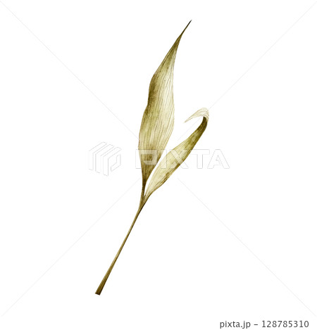 Watercolor leaf in warm autumn tones. Botanical hand drawn illustration isolated on background. Ideal for seasonal, halloween, forest, or nature-themed designs. Rustic foliage perfect for fall decor 128785310