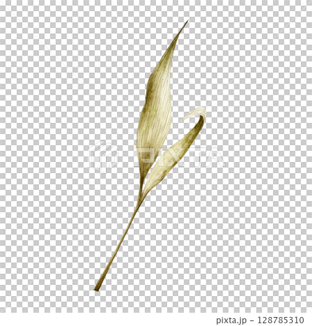 Watercolor leaf in warm autumn tones. Botanical hand drawn illustration isolated on background. Ideal for seasonal, halloween, forest, or nature-themed designs. Rustic foliage perfect for fall decor 128785310