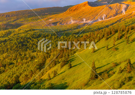 （群馬県）渋峠から望む、朝の光を浴びる芳ヶ平と噴煙上げる白根山 128785876