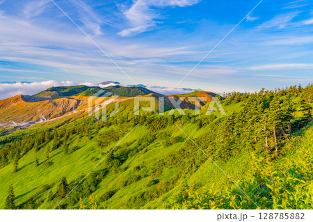(群馬県)渋峠から望む、朝の光を浴びる芳ヶ平と噴煙上げる白根山 (群馬県)渋峠から望む、朝の光を浴びる芳ヶ平と噴煙上げる白根山 128785882