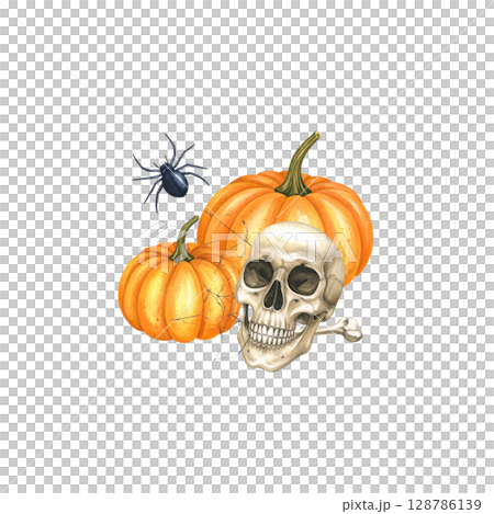 Illustration of orange Halloween pumpkin and skull with scary face isolated on white background. 128786139