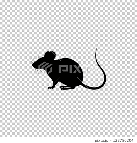 Small, cute rodent mice and rats isolated on a white background Small, cute rodent mice and rats isolated on a white background 128786204