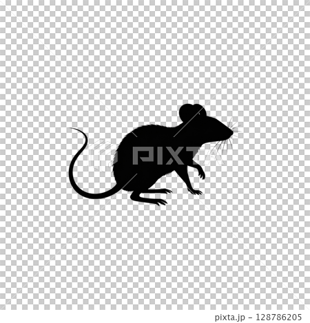 Small, cute rodent mice and rats isolated on a white background Small, cute rodent mice and rats isolated on a white background 128786205