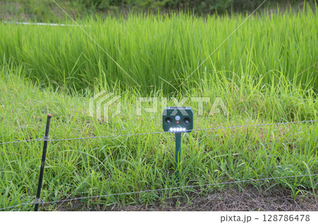 田んぼの畦の動物撃退器 田んぼの畦の動物撃退器 128786478