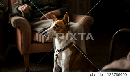 Calm and loyal, this dog sits attentively beside its owner, embodying companionship 128786990