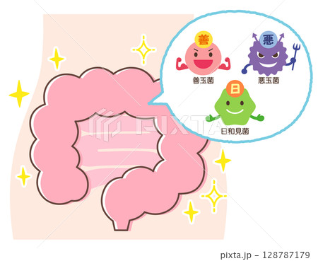 腸内環境　善玉菌　悪玉菌　日和見菌　元気な腸内 128787179