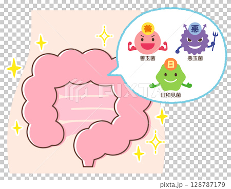 腸道環境:有益菌、有害菌、機會性細菌、健康腸道 腸道環境:有益菌、有害菌、機會性細菌、健康腸道 128787179