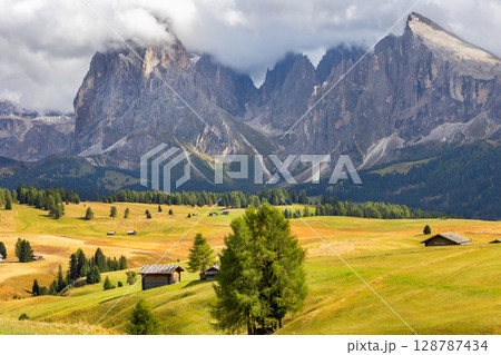 Dolomites Alpe di Siusi, Italy landscape, autumn Dolomites Alpe di Siusi, Italy landscape, autumn 128787434