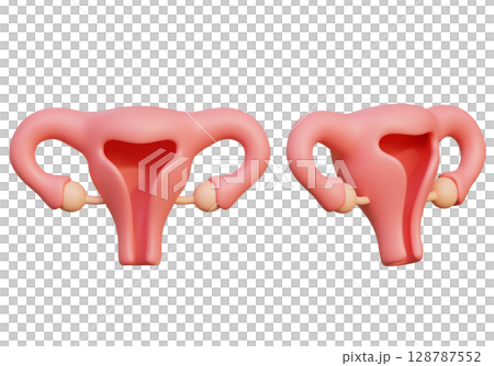 cartoon style uterus 3D graphic 128787552