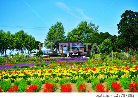 北海道 美瑛町の風景 北海道 美瑛町の風景 128787882
