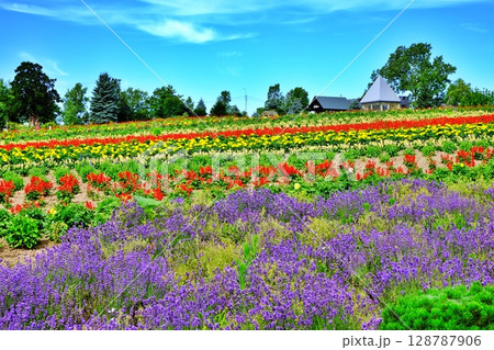 北海道 美瑛町の風景 北海道 美瑛町の風景 128787906