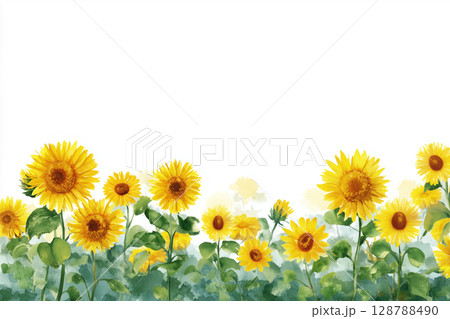【水彩ひまわりの夏背景】明るく爽やかなフレーム風イラスト素材 128788490