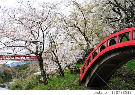桜淵公園 128788538