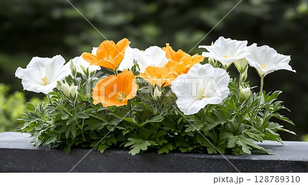 Bright and Colorful Blooming Flowers in a Lush Green Garden Setting 128789310