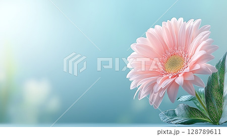 Soft Pink Flower Bloom with Green Leaves on a Gentle Blur Background for Nature Inspired Aesthetic 128789611