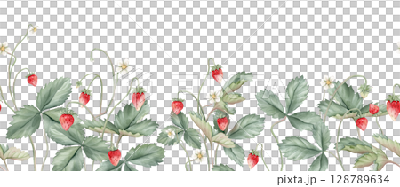 Wild strawberries rectangular Frame. Hand drawn watercolor illustration of Border with woodland strawberries and white flowers on white isolated background. Drawing for food label or cards design. 128789634