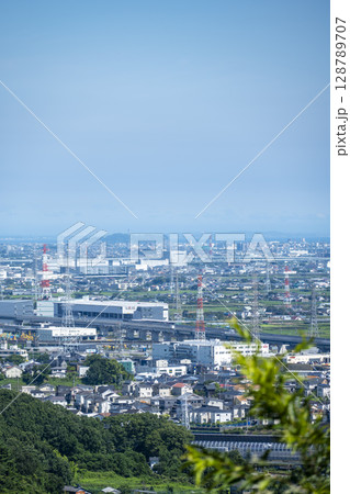総合運動公園・展望台からの風景 江の島 7月 【神奈川県 伊勢原市】 128789707