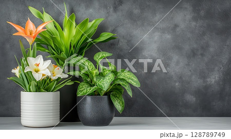 Vibrant Indoor Plants Arrangement in Stylish Pots with Dark Background for Home Decor 128789749