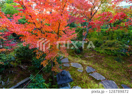 和室から眺める紅葉の庭園　大法院 128789872