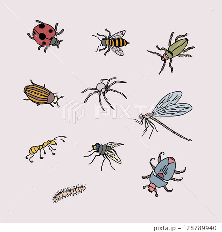 Colorful Hand-Drawn Insects Illustration Set with Ten Bugs Colorful Hand-Drawn Insects Illustration Set with Ten Bugs 128789940