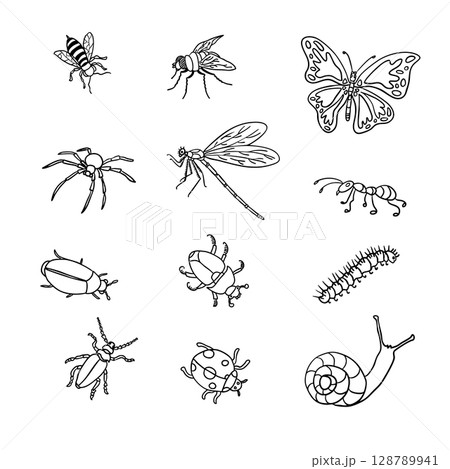 Detailed Insect Outline Illustrations for Creative Projects 128789941