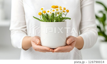 Woman Holding White Flower Pot with Fresh Daisies in Bright Indoor Setting 128790014