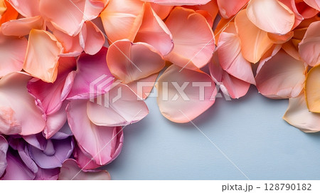 Colorful Rose Petals in Soft Shades of Pink and Purple on Light Blue Background 128790182