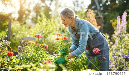 A serene moment in a sunlit garden, capturing the essence of nature beauty 128790425