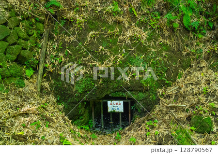 【世界遺産 石見銀山遺跡とその文化的景観】【重伝建】大森銀山　新切間歩近影1　島根県大田市 128790567