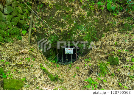 【世界遺産 石見銀山遺跡とその文化的景観】【重伝建】大森銀山　新切間歩近影2　島根県大田市 128790568