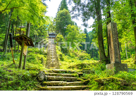 【世界遺産 石見銀山遺跡とその文化的景観】初夏の佐毘売山神社の参道　島根県大田市 128790569
