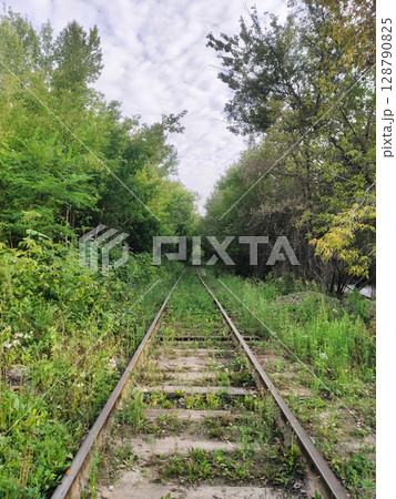 An abandoned rail road leading into a dense forest. A mystical photo with a cloudy sky and a dark road. Old tram tracks in the city limits, overgrown with wild plants and forest. 128790825