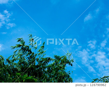 Cleat weather Blue Sky with White Clouds and gentle wind. Cleat weather Blue Sky with White Clouds and gentle wind. 128790962