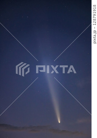 星空を駆ける紫金山アトラス彗星 128791918