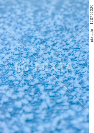 氷の上に咲く自然のアート ― フロストフラワー 氷の上に咲く自然のアート ― フロストフラワー 128792020