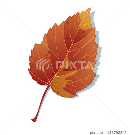 Hand-drawn autumn colored orange maple fall leaf isolated on white background. Flat style vector illustration. Hand-drawn autumn colored orange maple fall leaf isolated on white background. Flat style vector illustration. 128792245