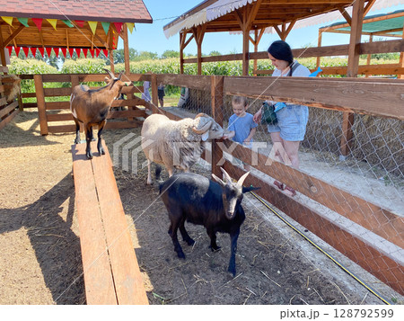 Mom and son toddler feeding animals on farm. 128792599