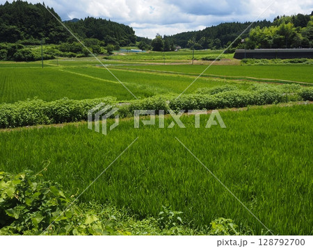 ノスタルジックな風景 ノスタルジックな風景 128792700