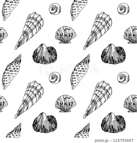 Marine pattern with graphic shells on white background, sketchy hand drawn illustrations Marine pattern with graphic shells on white background, sketchy hand drawn illustrations 128793607