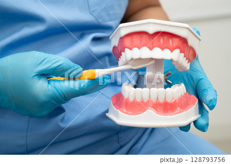 Doctor clean teeth denture with toothbrush for teach patient and dentist studying about dentistry. Doctor clean teeth denture with toothbrush for teach patient and dentist studying about dentistry. 128793756