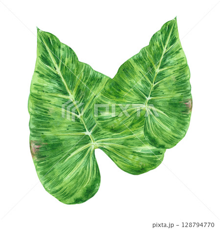 Tropical leaves composition, hand drawn watercolor illustration isolated on white background. Can be used for card, scrapbook and other printed products. 128794770