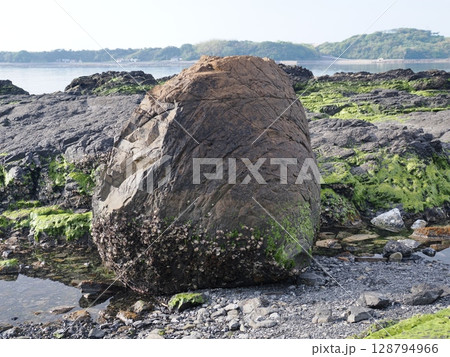 天草下島・おっぱい岩のある風景 天草下島・おっぱい岩のある風景 128794966
