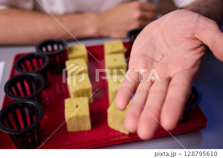 An Elaborate Hydroponic Gardening Setup Incorporating Essential Nutrients and Grow Media An Elaborate Hydroponic Gardening Setup Incorporating Essential Nutrients and Grow Media 128795610