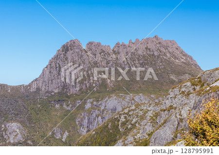 Marions Lookout at Cradle Mountain in Tasmania Australia Marions Lookout at Cradle Mountain in Tasmania Australia 128795991