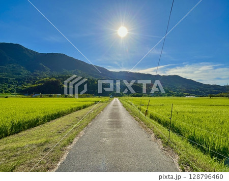 夏の田舎 128796460