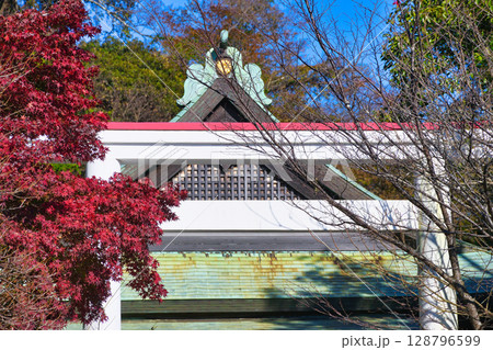 青空にはえる鎌倉宮の美しい鳥居と紅葉（神奈川県鎌倉市） 128796599
