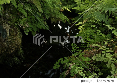水の流れる風景 水の流れる風景 128797076